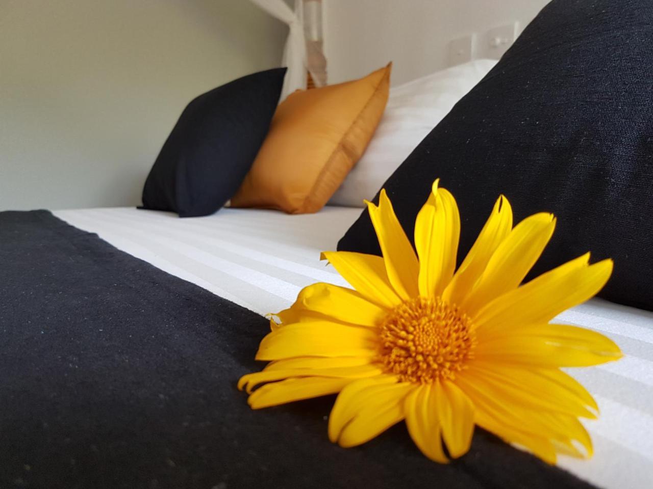 White Villa Beach Resort Мириса Екстериор снимка